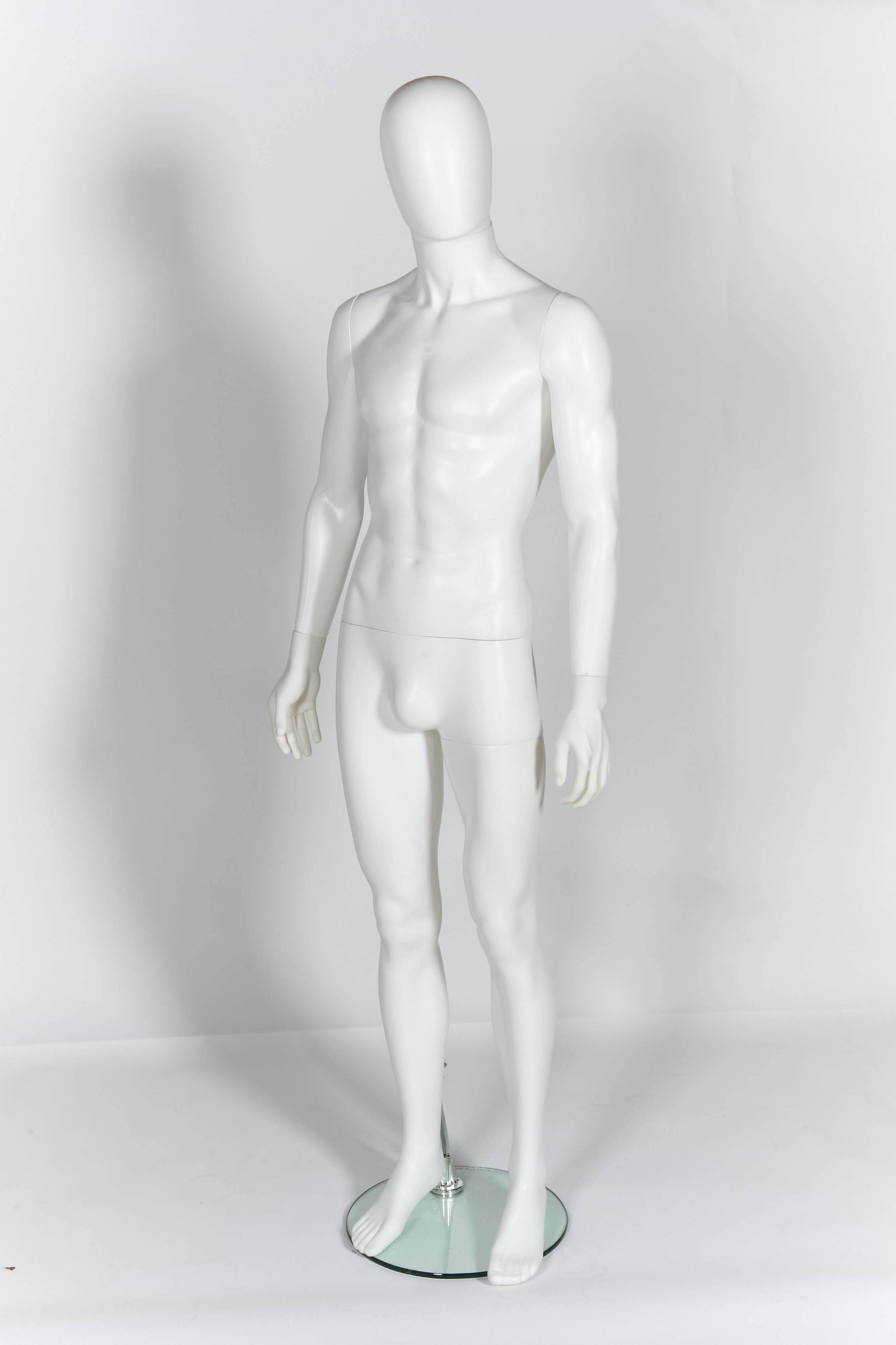 Only Hangers Male Torso Plastic Hanging Mannequin Body Form Clear Frosted Pack of 1 